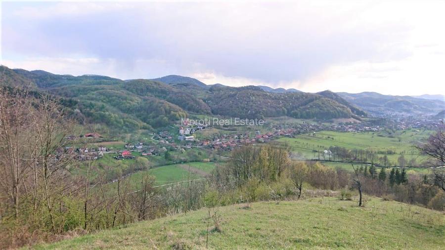 Domeniu de 7 ha in Apuseni - Criscior, Hunedoara - 5