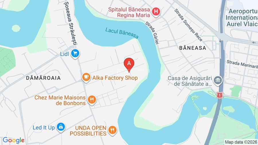 Vila lux Baneasa-Lac, langa Petrom City, zona exclusivista pe malul lacului - 17