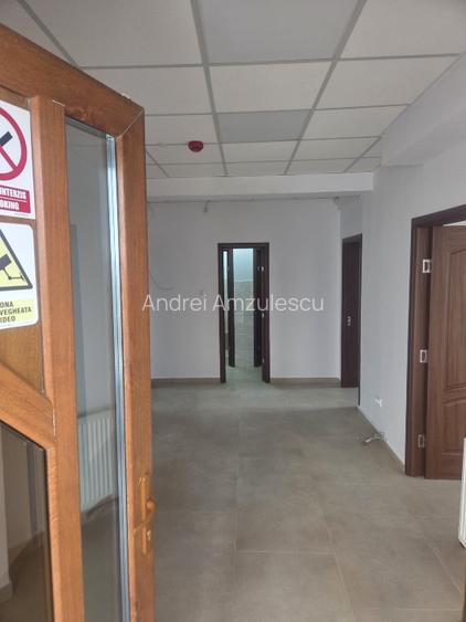 Spatiu 106 mp -ideal cabinete / birouri -compartimentat -- Calea Severinului  - 5