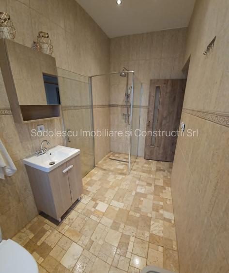 Vila individuala la 30 km de Timișoara - 19