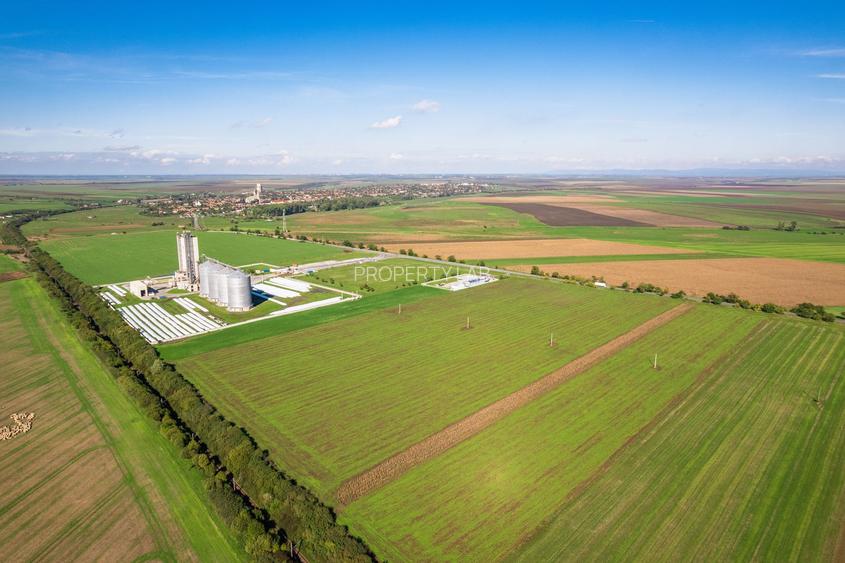 Teren de 104000 mp în Vinga - 5