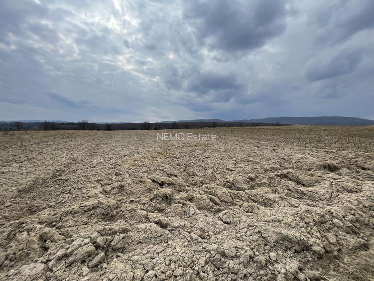 TEREN EXTRAVILAN | 23 ARI | HORODNIC DE SUS - 3