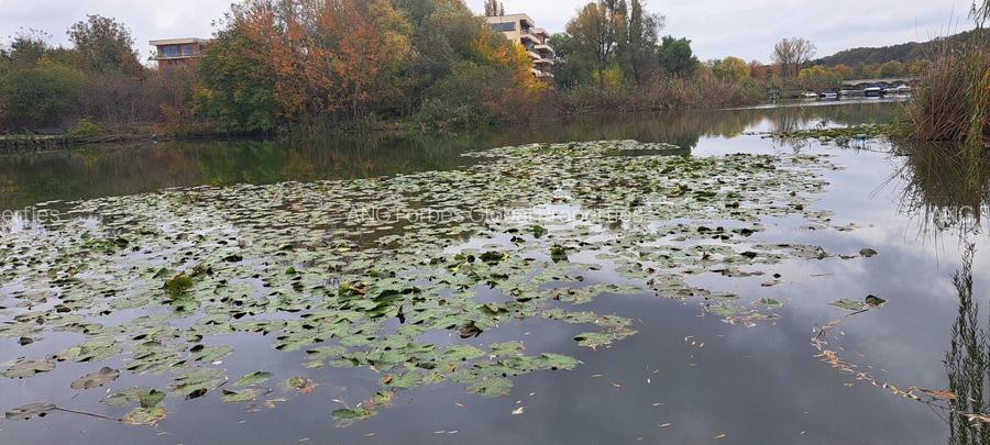 O oportunitate excepțională pe malul Lacului Snagov - 5