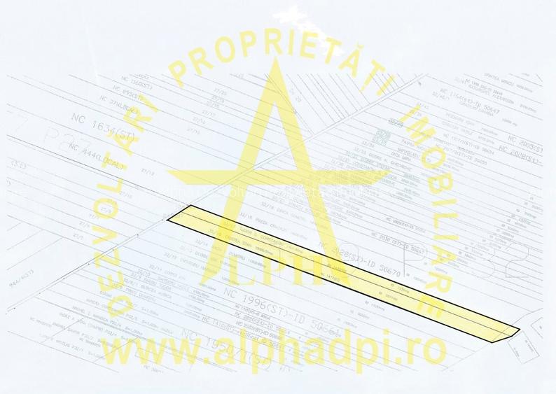 Teren in suprafata de 16870 mp, comuna Ganeasa ( sat Sindrilita) - 6