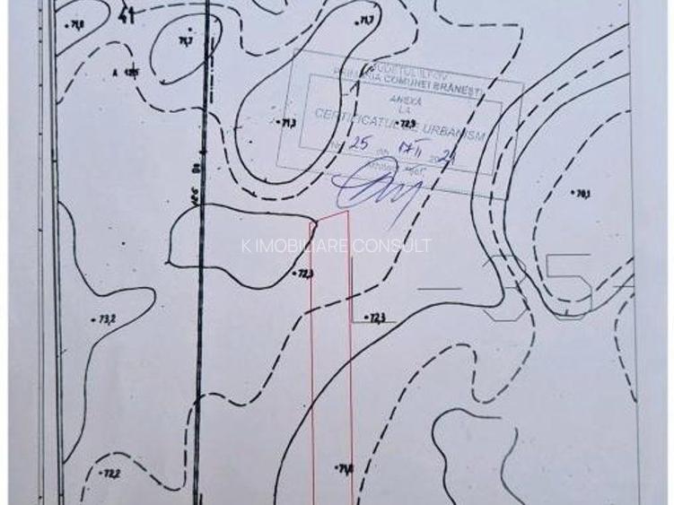 Branesti teren intravilan 30700 mp - 13