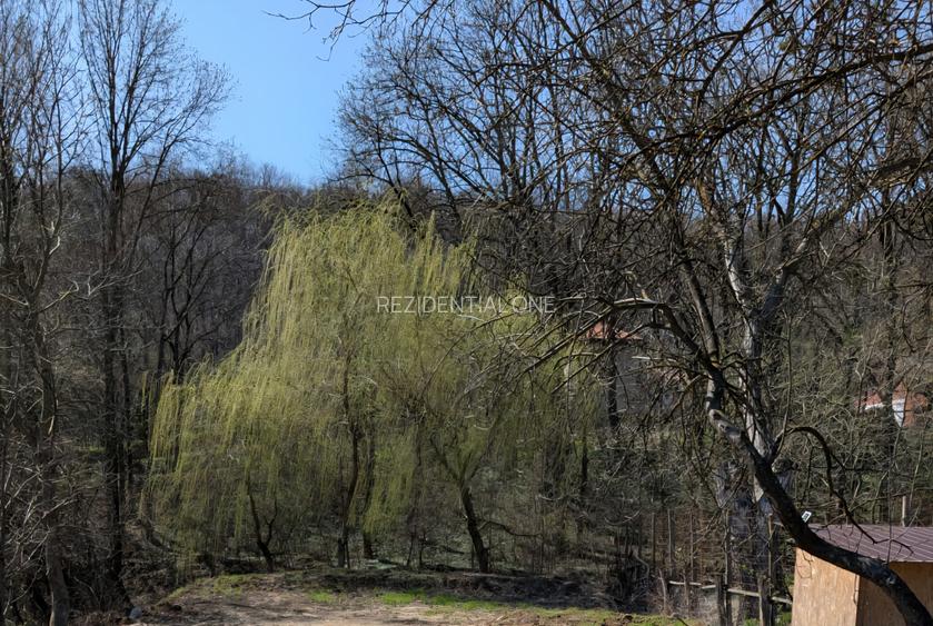 Hemeius/Teren cu deschidere la pădure și pârâu/certificat de urbanism - 3