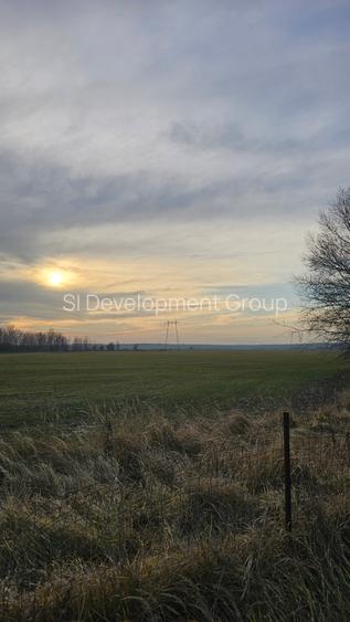 Comision 0% | Teren  30 hectare | Deschidere 550m A1 | Oportunitate investitie - 2