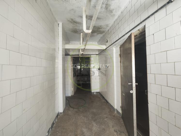 Spatiu comercial 9 camere, casa 2 camere,  teren 354 mp, Brestei. - 11