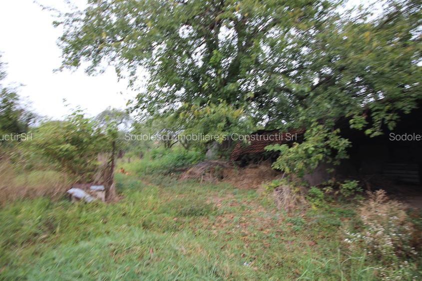 Teren de vânzare - 1900 mp Dumbravita - 7