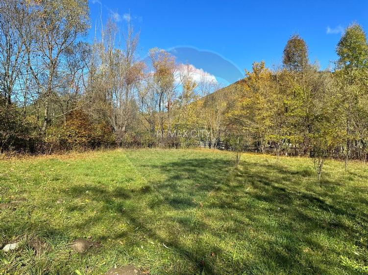 Teren de vanzare Cuiejdel 1350 mp - 10