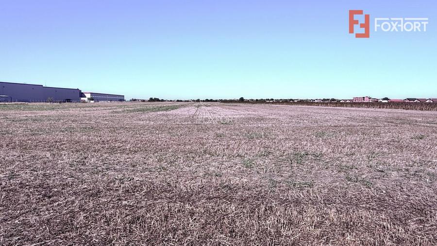 COMISION 0% Teren extravilan 40.000 mp - zona Sanandrei - 3