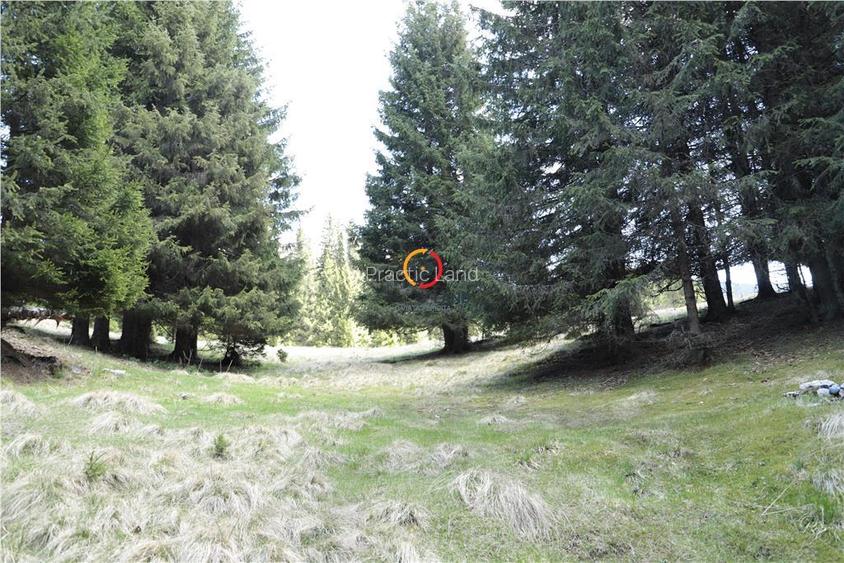 terenuri speciale Padina Busteni - 10