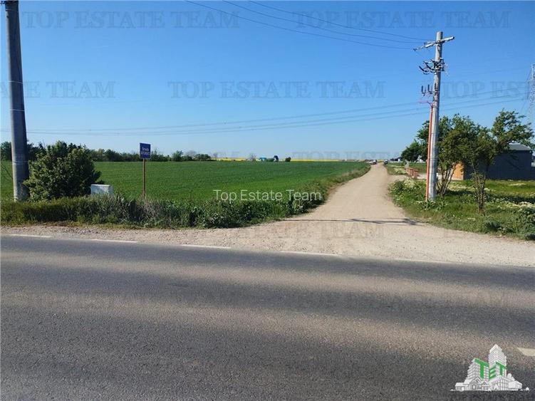 Teren intravilan - vanzare - Calarasi - Frumusani - 2