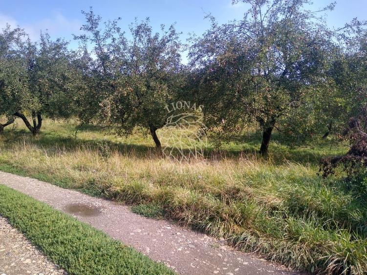 Teren 1500 mp - pretabil cabana/investitie - Zona Valea Rusului