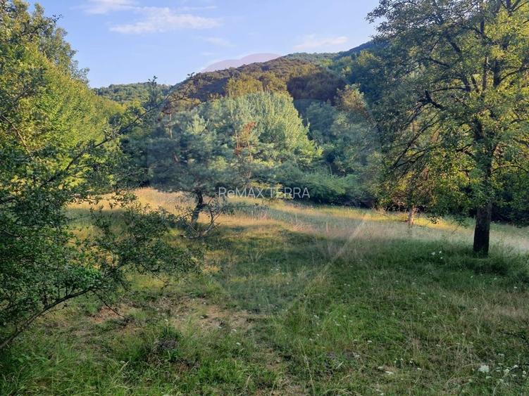 Poiană pentru cabana de vanzare intravilan Coas - 3