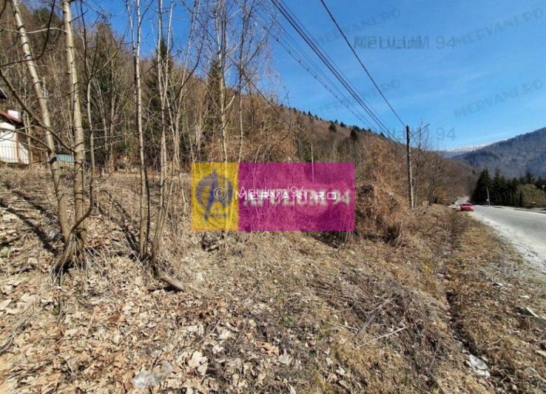 Teren Intravilan de Vânzare Sinaia - 3