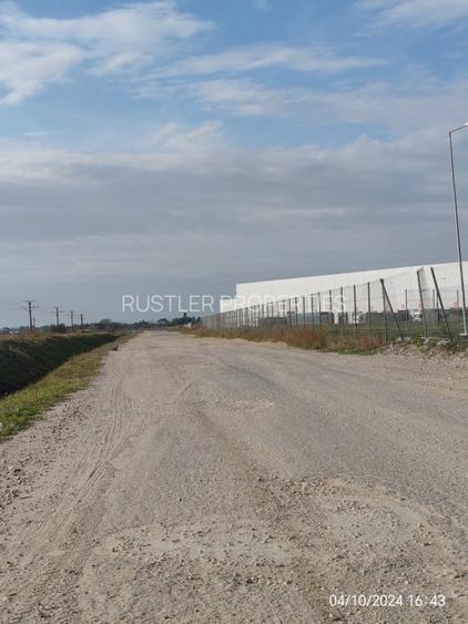 Vanzare Teren 7700 mp in Bolintin Deal - Zona Industriala - 3