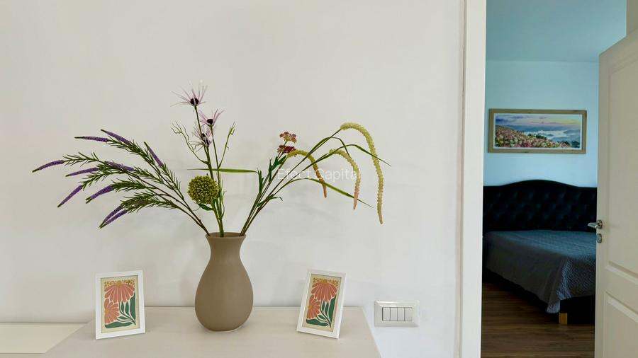Casa cu 3 dormitoare de inchiriat (petfriendly cu animale de talie mica) - 8