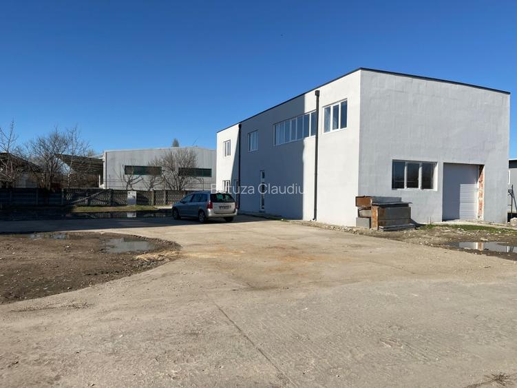 Platformă industrială flexibilă – 15.576 mp – oportunitate build-to-suit – Timiș - 3