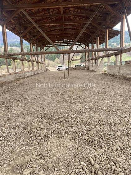 HALE-DEPOZIT DE VANZRE SI TEREN 10000 mp  AGAS jud.Bacau - 2