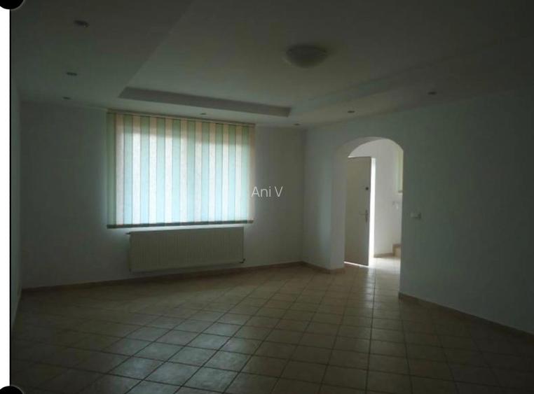 Vila de inchiruat zona Mihai Bravu - 13