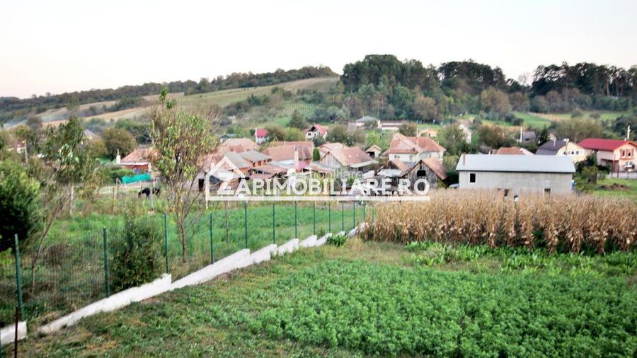 De vanzare 2 case cu 4.900 mp teren, Livezeni 0% comision - 2