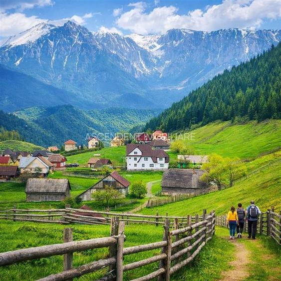 Locatie cu patru anotimpuri intr- o zi, incadrata de 2.350 teren, Bran - Fundata - 2