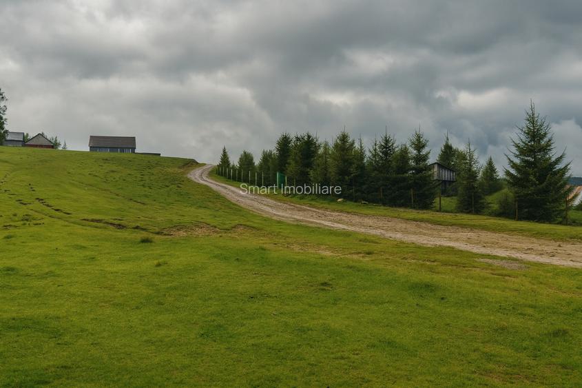 Teren 673mp cu PUZ in Paltinis - 2