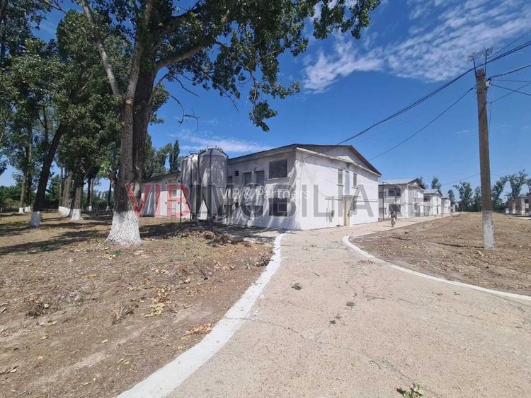 *Proprietate industrială | Fermă avicolă | Teren 35.000 mp | Hale și utilități e - 7