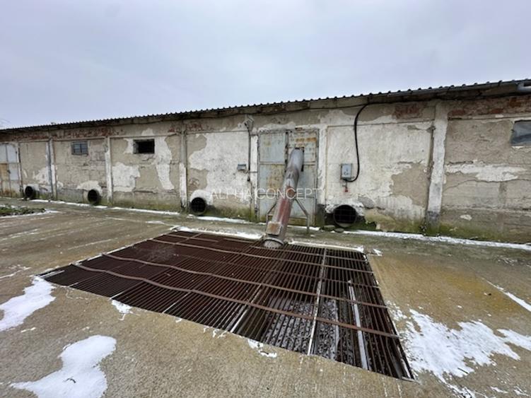 DEPOZIT CEREALE - CEAMURLIA DE JOS/STATIA CFR TVA INCLUS - 19