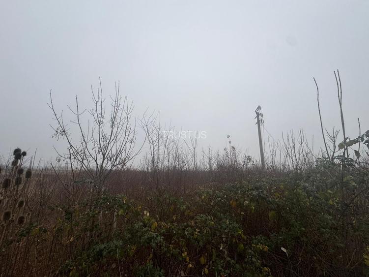 COMISION 0 | Teren intravilan | 17.700 mp | Zona Freidorf - 2