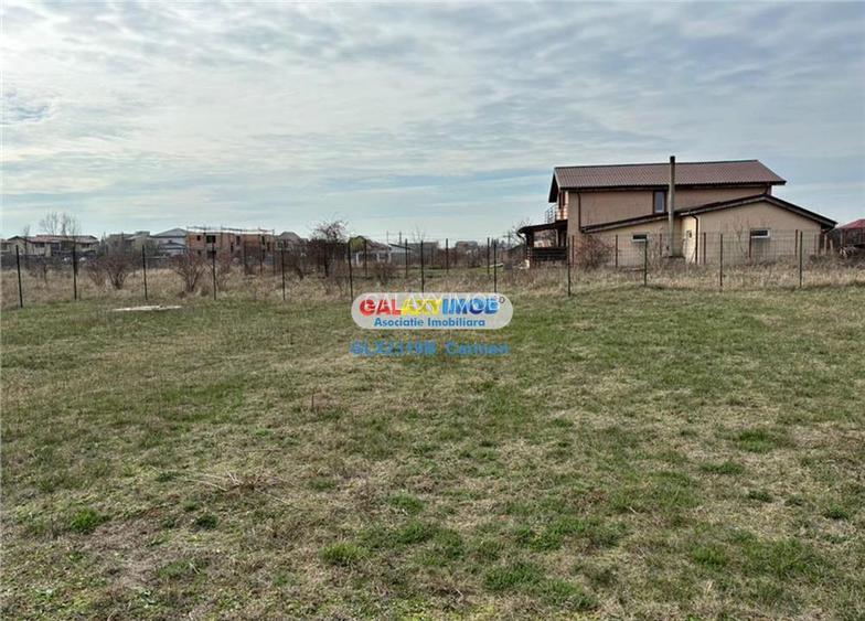 Teren intravilan - Domnesti - Intrarea Albastrelelor - 2