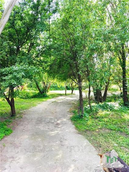 Vila 7 camere- 300 mpu+ curte 2000 mp- Giulesti- Sector 6 - 5