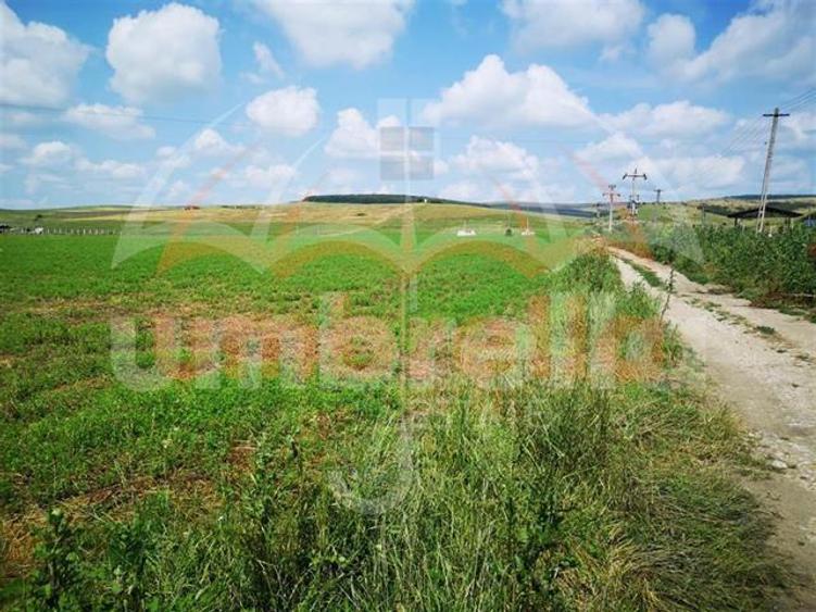 Teren de vanzare in Iclod 8.659m²/10€ m² DN1