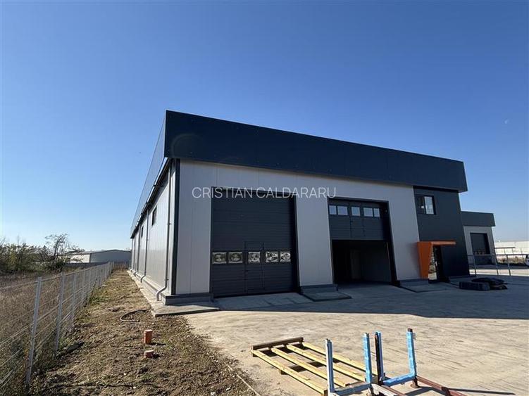 Vanzare depozit/hala/spatiu industrial Chitila - Centura - Rudeni - 11