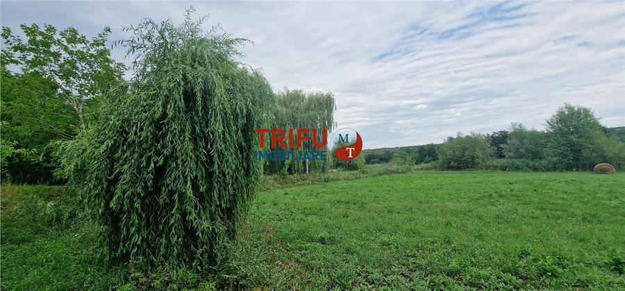 Oportunitate de Investiție: Teren 24000mp Intravilan Construibil în Ga