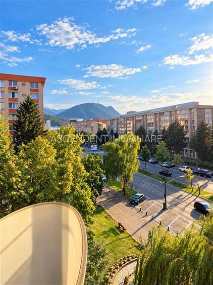 Pet friendly! Apartament doua camere, Bulevardul Victoriei, Brasov - 5