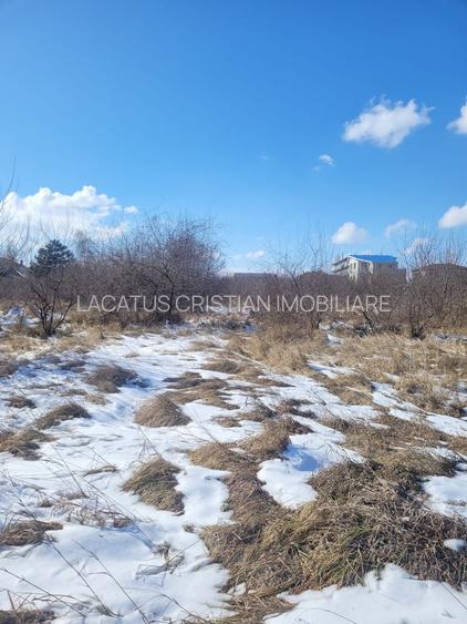 EXCLUSIVITATE! TEREN UNICAT 5831MP ZONA MAMAIA NORD - 4