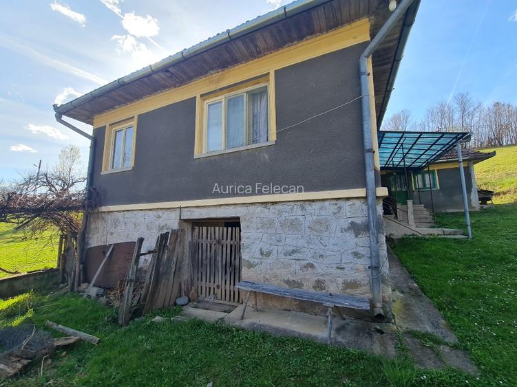 Proprietar vand casa+ teren 13000mp, Steia, Tomesti, jud. Hunedoara, 20km de Bra - 10