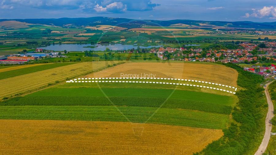Oportunitate pentru fermieri: 10.800 mp teren arabil în Rotbav, Brașov - 3