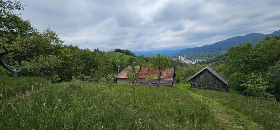 Domeniu Premium 1.7 Ha Intravilan Zărnești | Lizieră Pădure | Ideal Resort