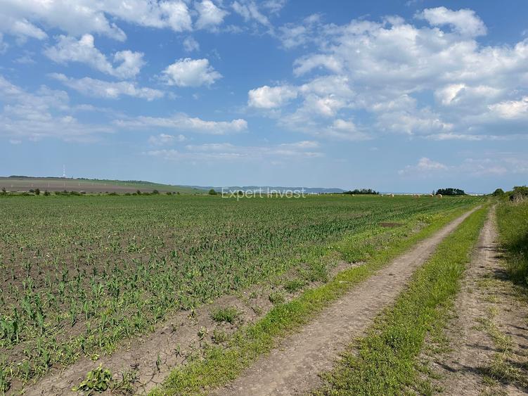 Teren 13.500 mp pentru dezvoltare in Sura Mica / jud. Sibiu - 7