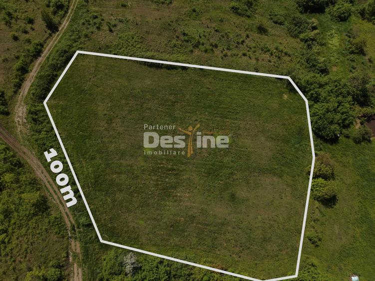 Teren compact intravilan 8000 mp vedere spre Lac, utilități