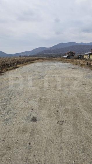 Oportunitate de Investiție de Top în Șoimuș - 2600 mp teren intravilan