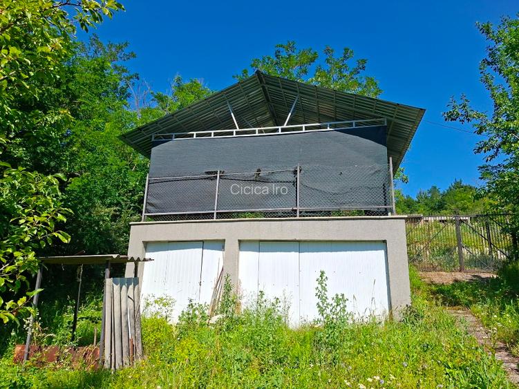 Vând proprietate Brănești Dâmbovița  - 4