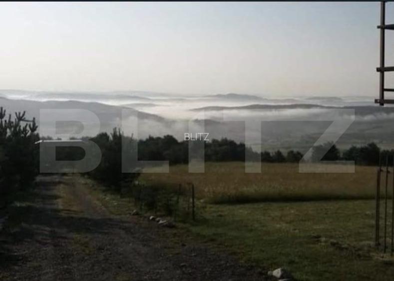 Teren intravilan, 1000 mp, zona Treznea - 10