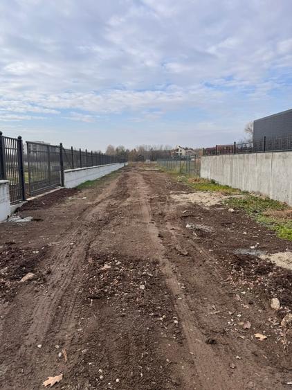 Snagov /Terenuri Parcelate langa Padure cu Utilitati/ Canalizare/ 500-2500 Mp