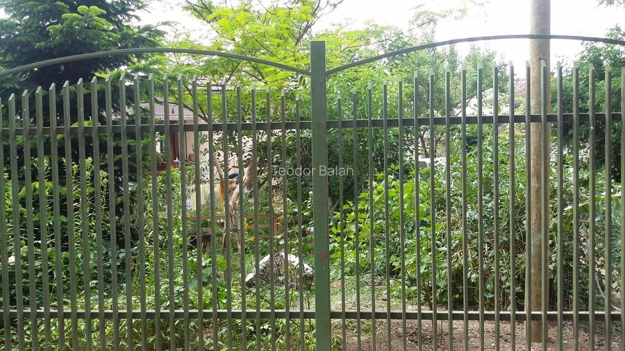 Vând casă în orașul Buziaș sau schimb cu apartament la parter, în Timișoara. - 3
