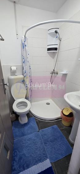 Vila din padure in Valea Doftanei - 21