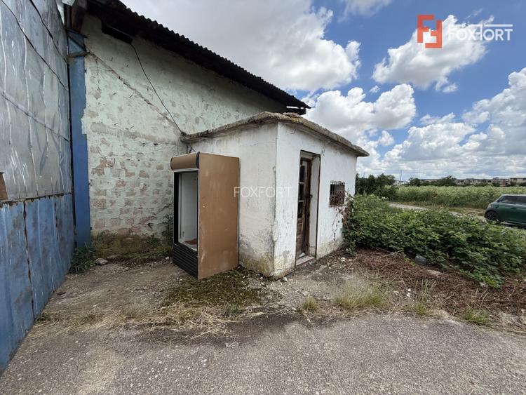Depozit de vanzare cu suprafata utila de 450 mp - Ortisoara - 6